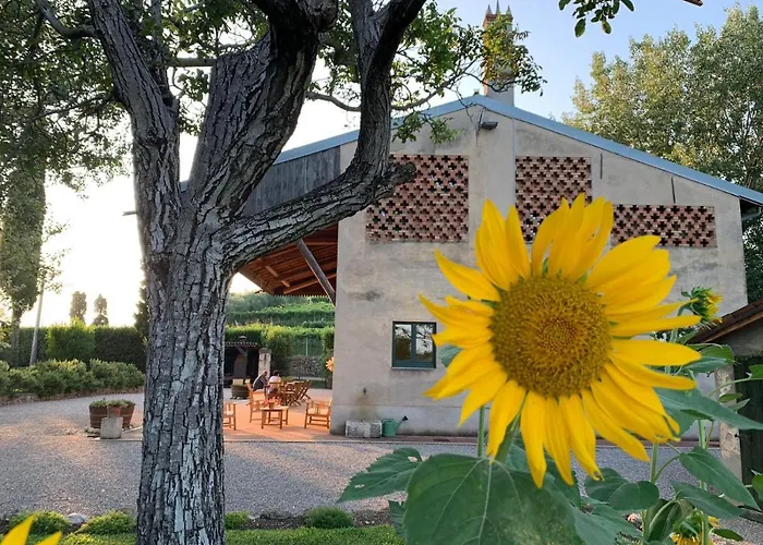 Domus Cariana