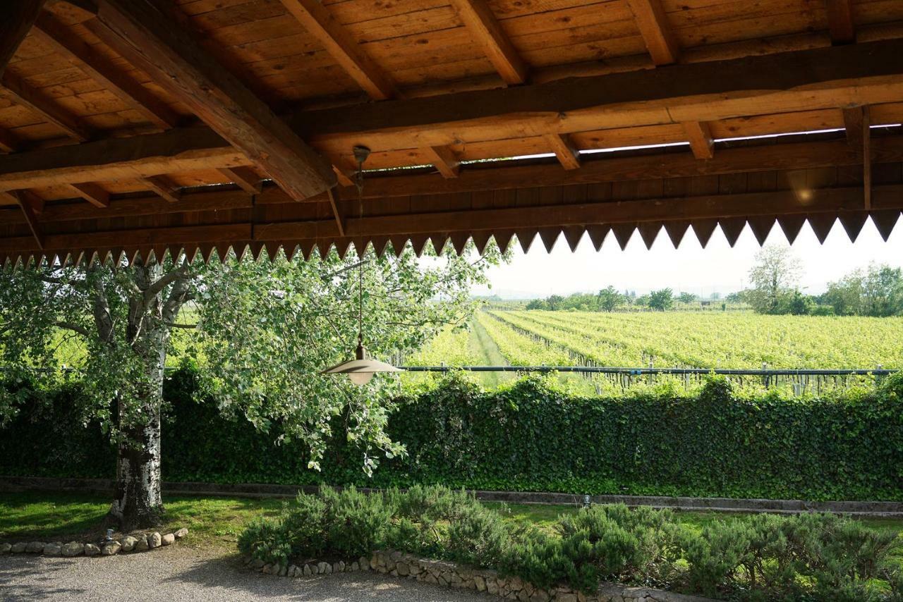 Domus Cariana Séjour à la ferme San Pietro in Cariano